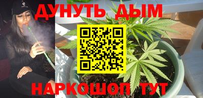 стаф Тула