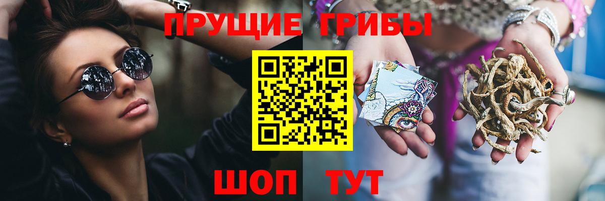 Псилоцибиновые грибы MAGIC MUSHROOMS Можга
